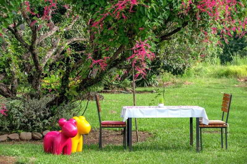 Aurora Resort Chiangdao Chiang Dao Εξωτερικό φωτογραφία